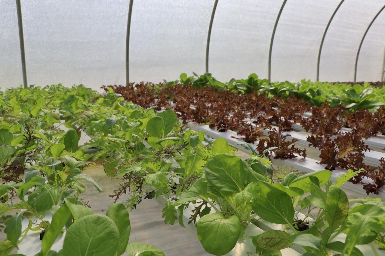 2588 Heavenly Drive, Marianna, FL 32448 Photo