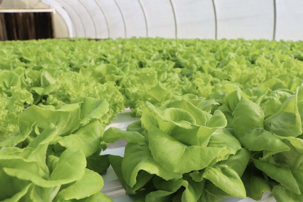 2588 Heavenly Drive, Marianna, FL 32448 Photo