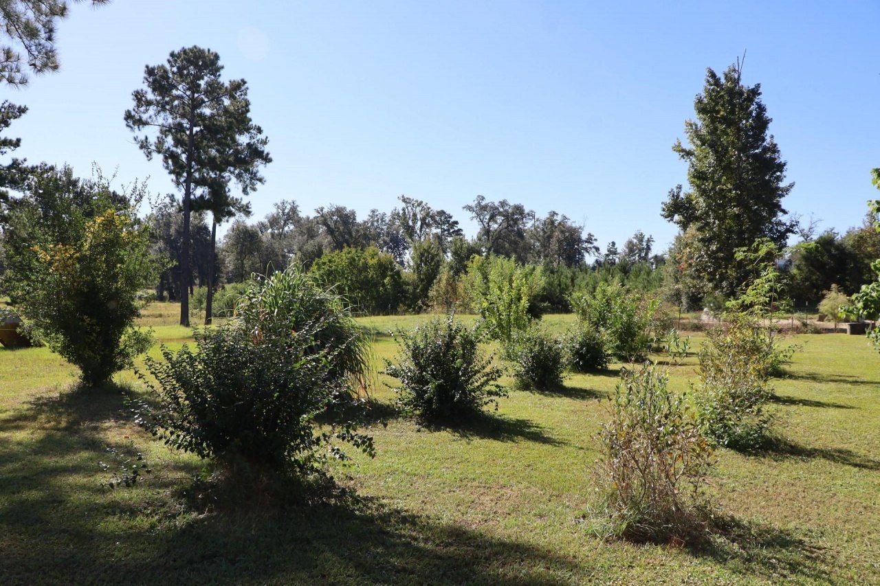 2588 Heavenly Drive, Marianna, FL 32448 Photo