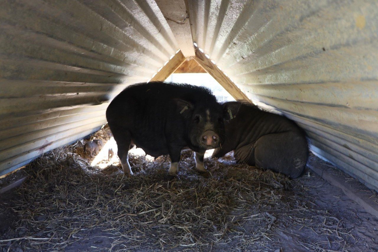 2588 Heavenly Drive, Marianna, FL 32448 Photo