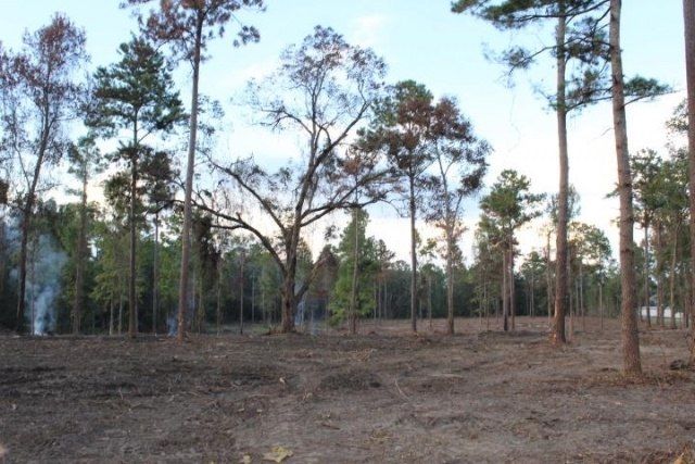 Xxx Fla-ga-hwy Highway, Havana, FL 32333 Photo