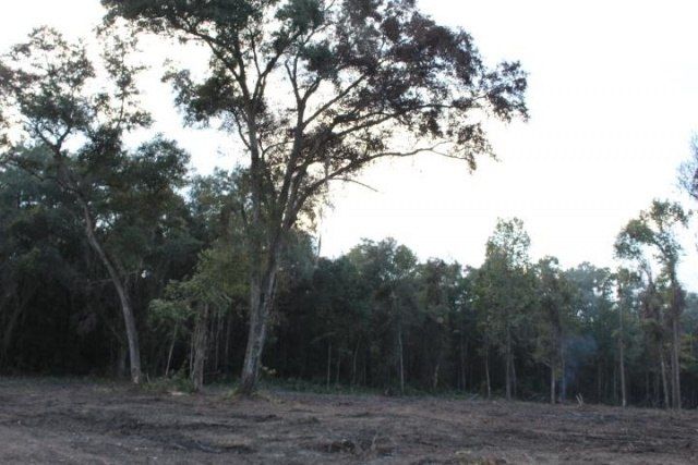 Xxx Fla-ga-hwy Highway, Havana, FL 32333 Photo