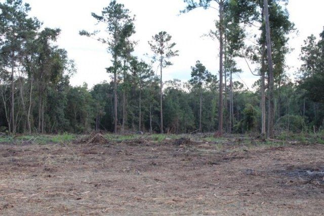 Fla-ga-hwy Highway, Havana, FL 32333 Photo