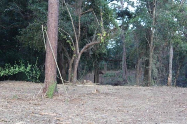 Fla-ga-hwy Highway, Havana, FL 32333 Photo