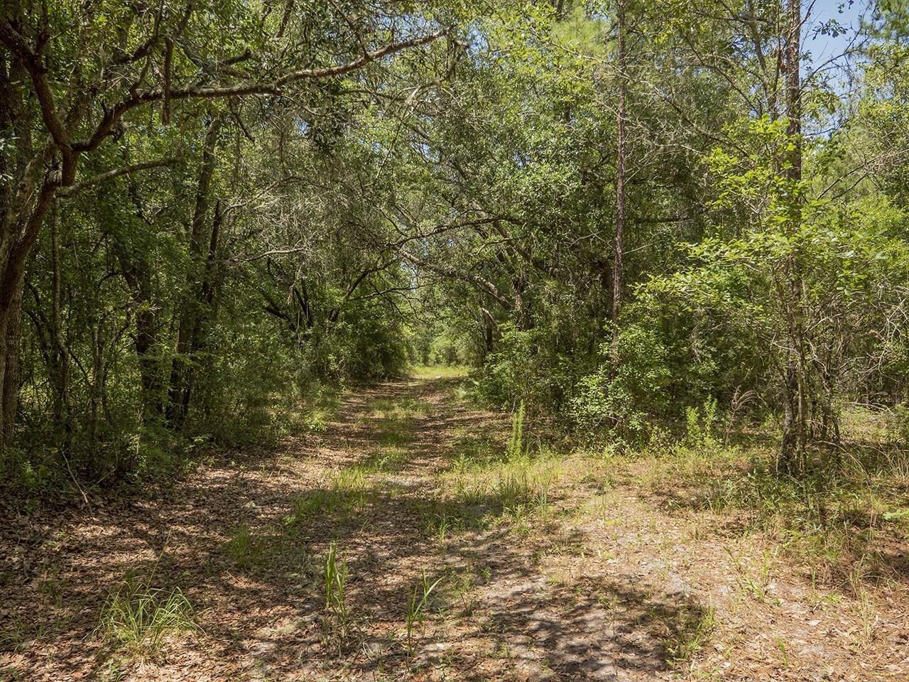 Vacant SW Hike Lake Road, Madison, FL 32340 Photo