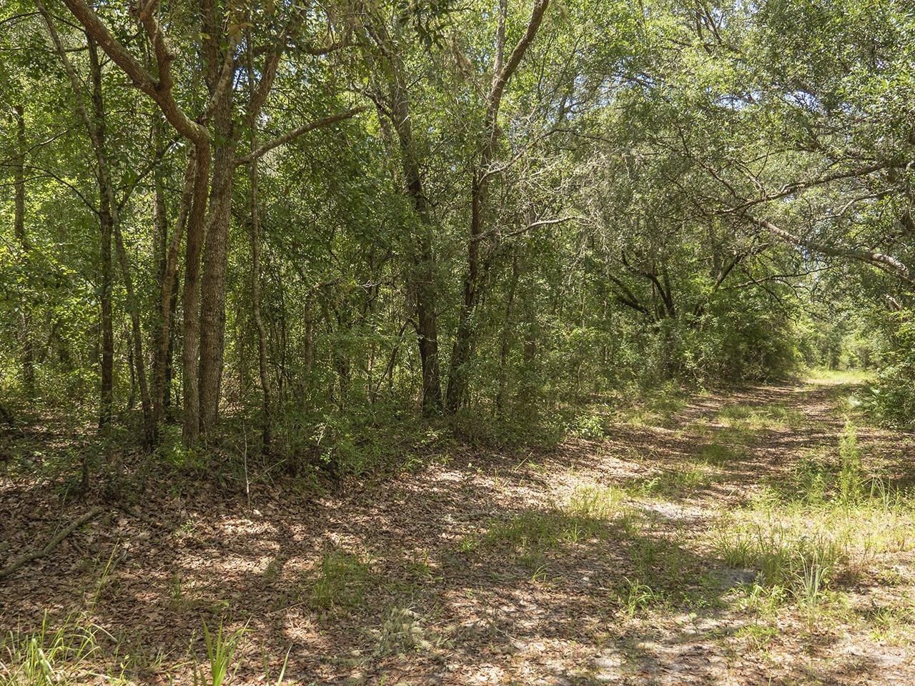 Vacant SW Hike Lake Road, Madison, FL 32340 Photo