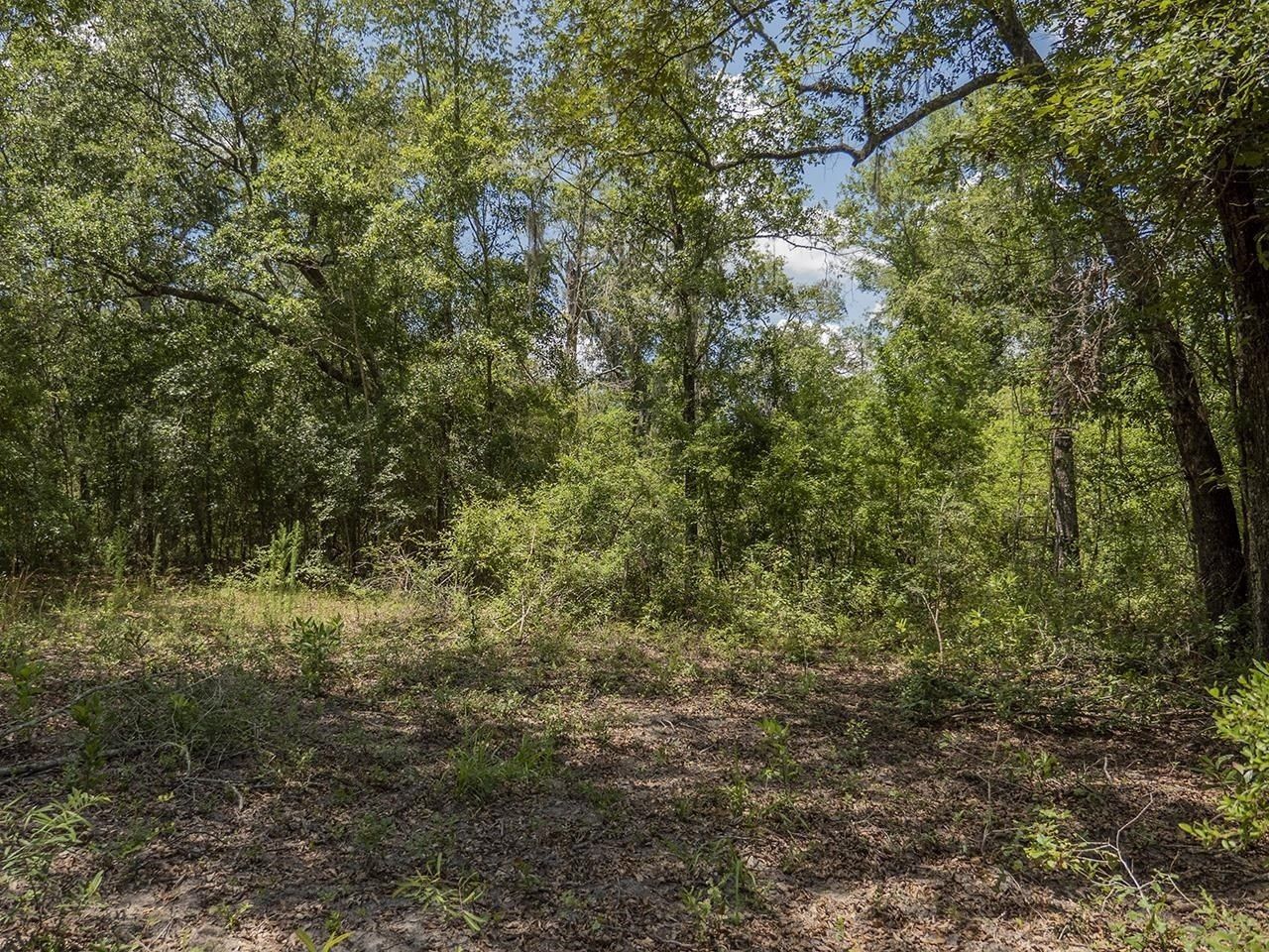 Vacant SW Hike Lake Road, Madison, FL 32340 Photo