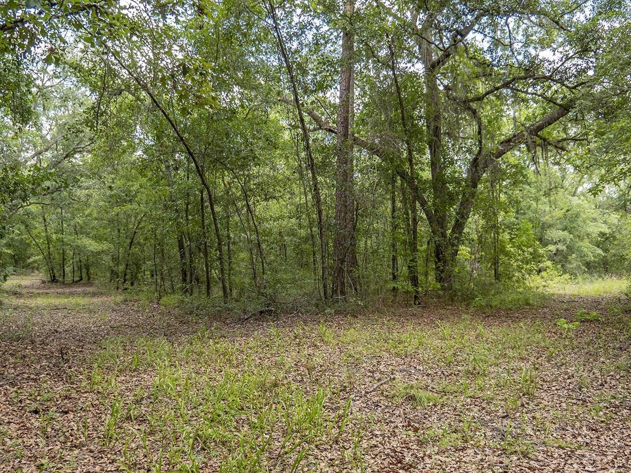 Vacant SW Hike Lake Road, Madison, FL 32340 Photo