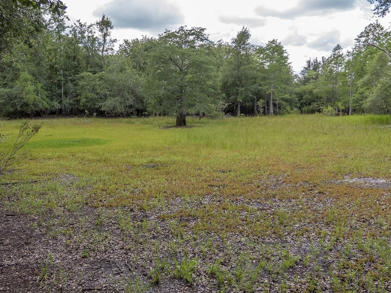 Vacant SW Hike Lake Road, Madison, FL 32340 Photo