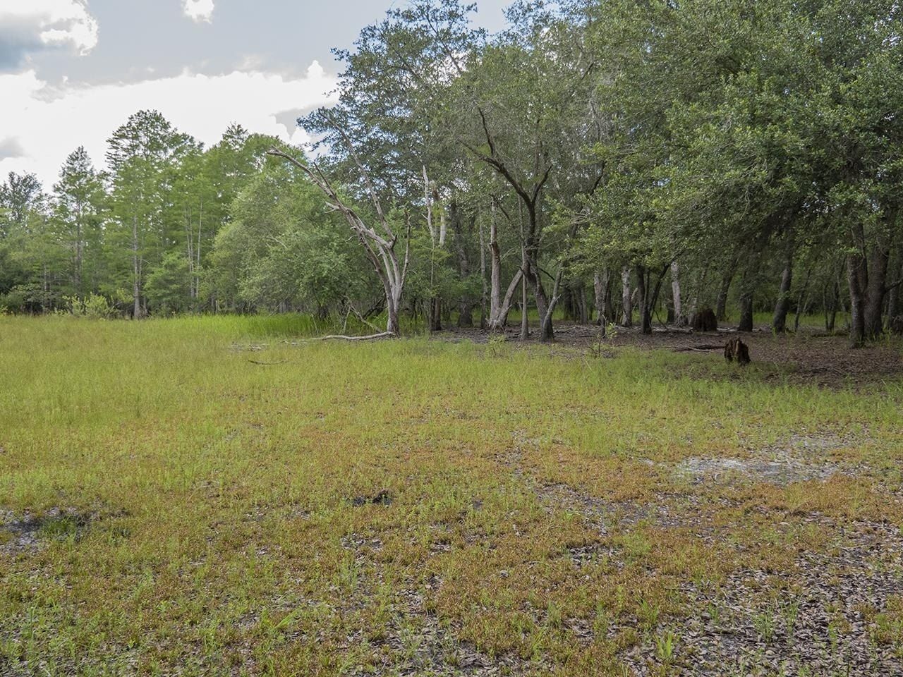 Vacant SW Hike Lake Road, Madison, FL 32340 Photo