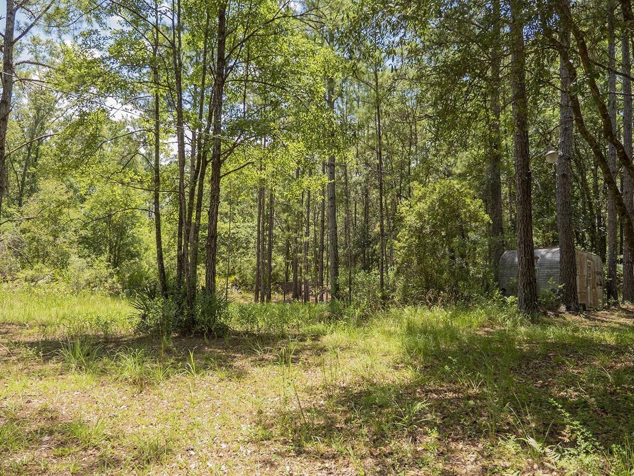 Vacant SW Hike Lake Road, Madison, FL 32340 Photo