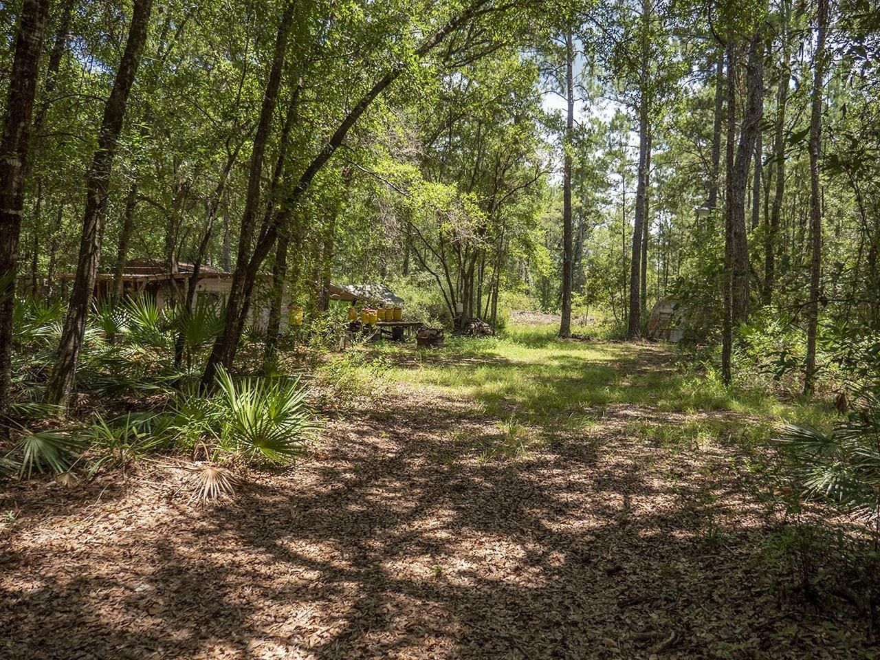 Vacant SW Hike Lake Road, Madison, FL 32340 Photo