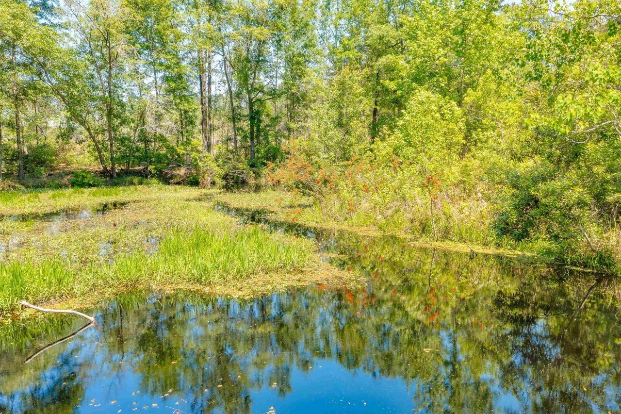 5832 W Tennessee Street, Tallahassee, FL 32304 Photo