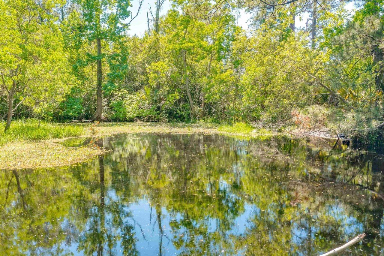 5832 W Tennessee Street, Tallahassee, FL 32304 Photo