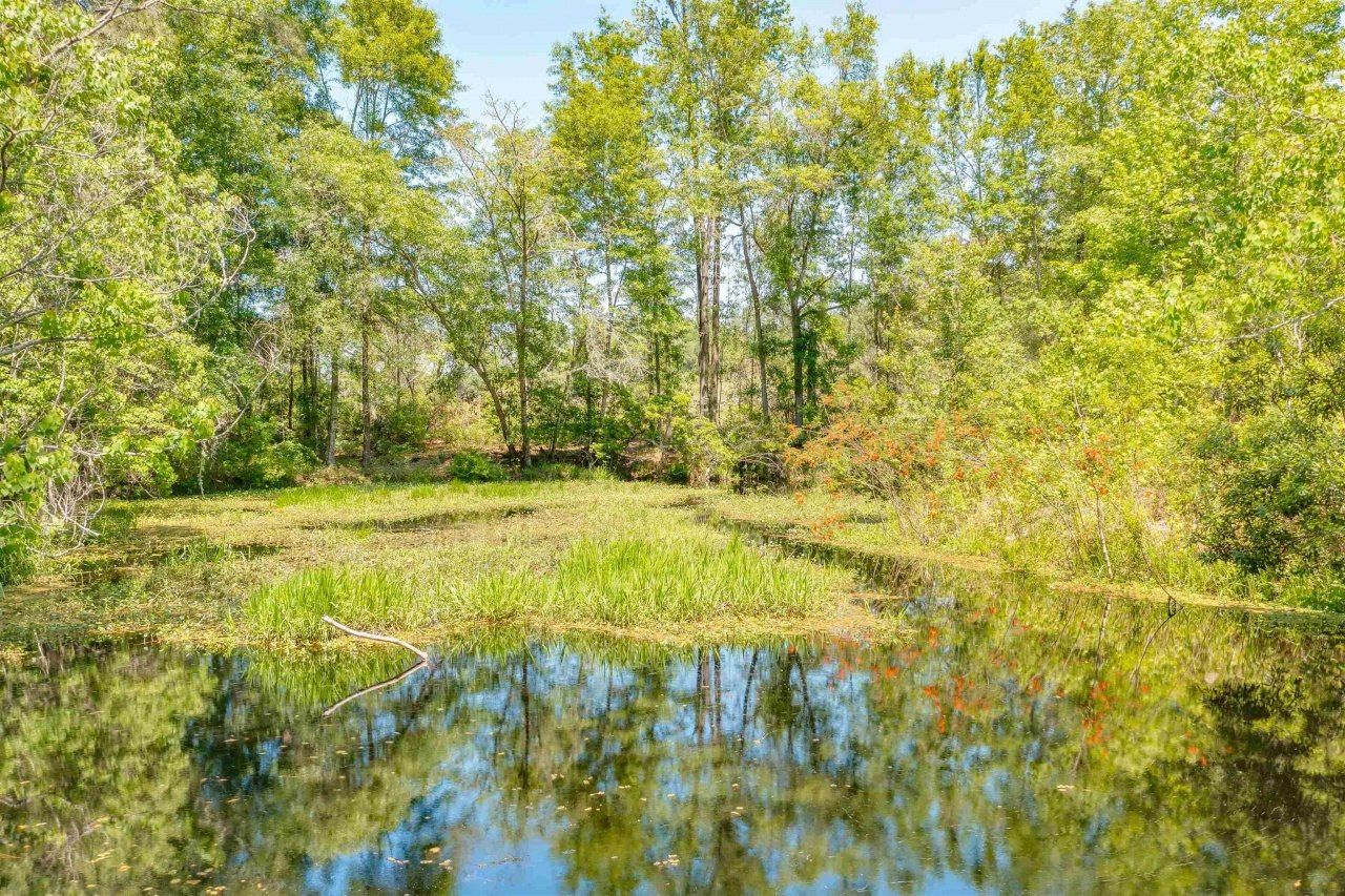 5832 W Tennessee Street, Tallahassee, FL 32304 Photo