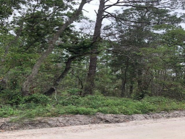 Lot 9 Surf Road, Ochlockonee Bay, FL 32346 Photo