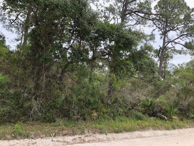 Lot 9 Surf Road, Ochlockonee Bay, FL 32346 Photo