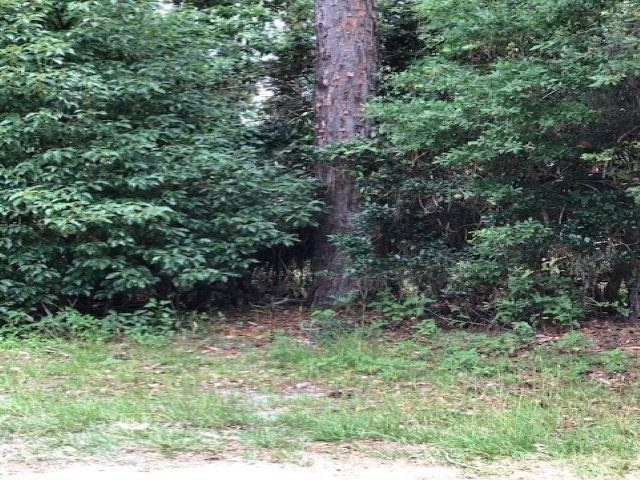 Lot 9 Surf Road, Ochlockonee Bay, FL 32346 Photo