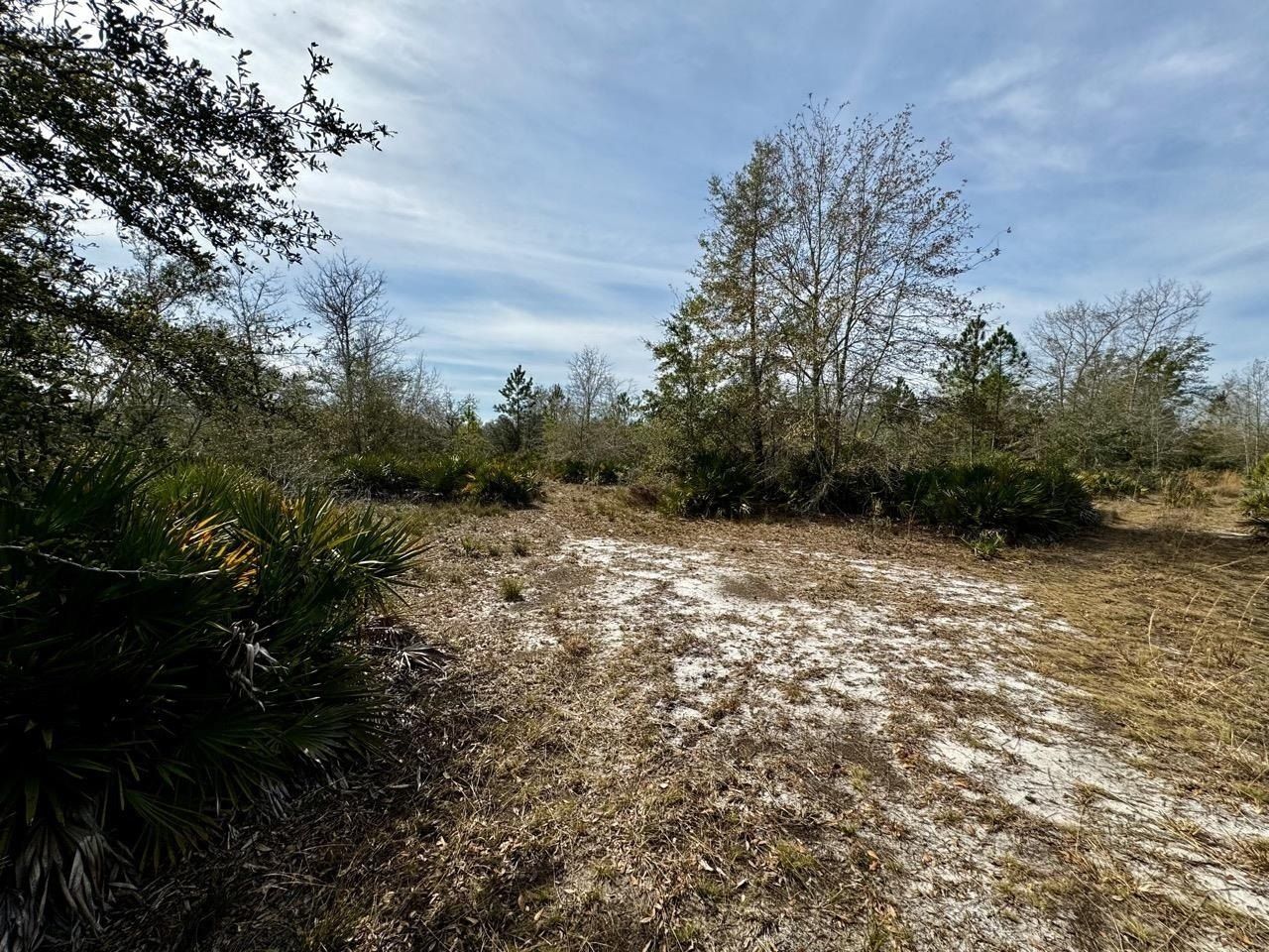 Vacant 1 62 Road, Lamont, FL 32336 Photo