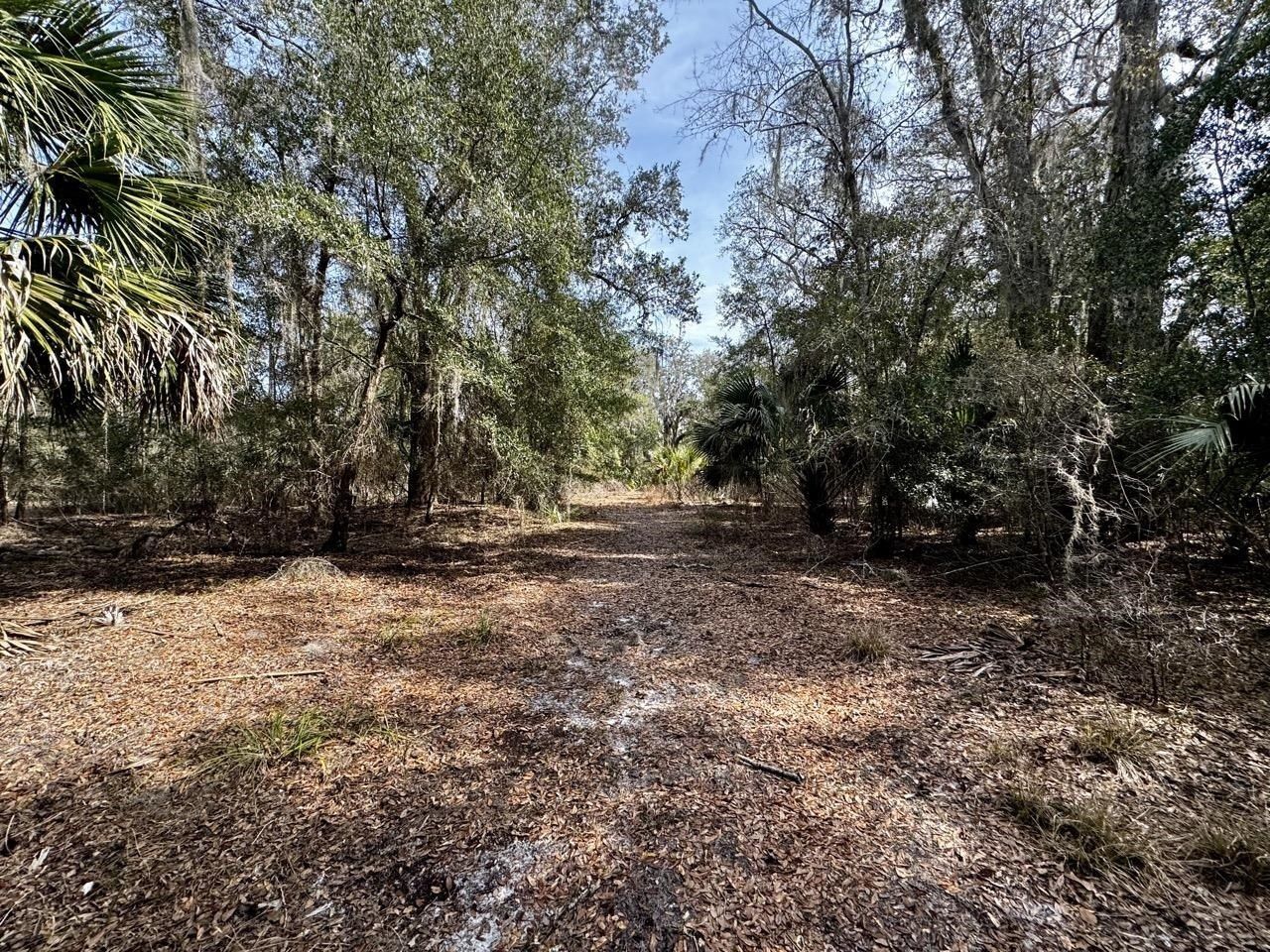 Vacant 1 62 Road, Lamont, FL 32336 Photo