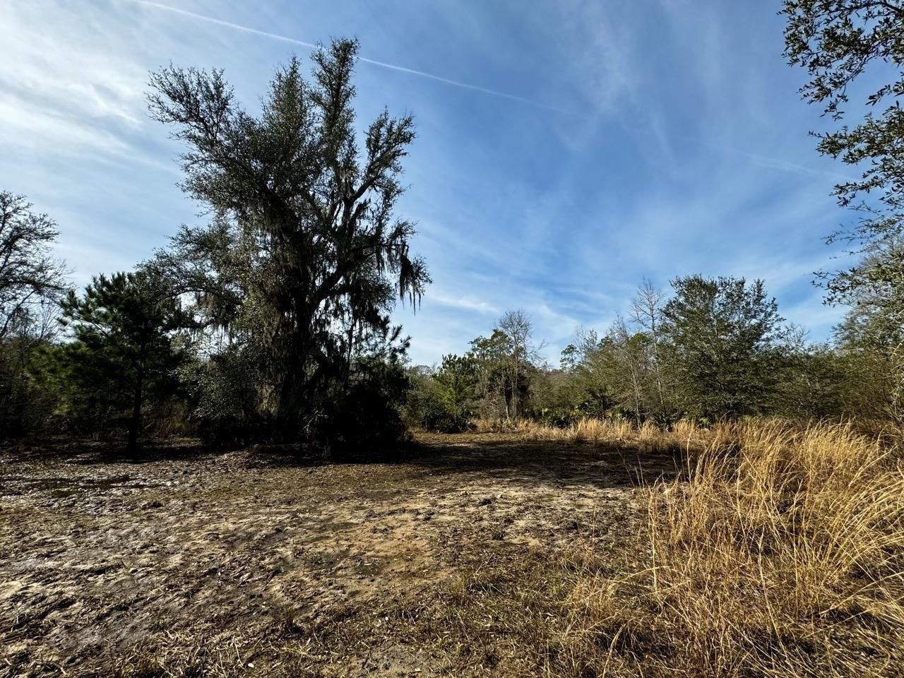 Vacant 1 62 Road, Lamont, FL 32336 Photo