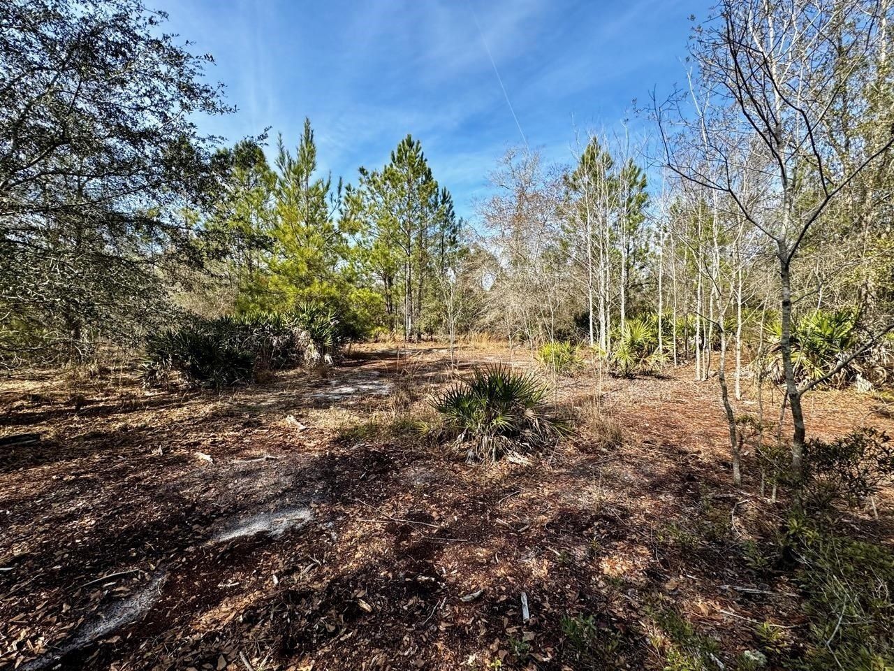 Vacant 1 62 Road, Lamont, FL 32336 Photo