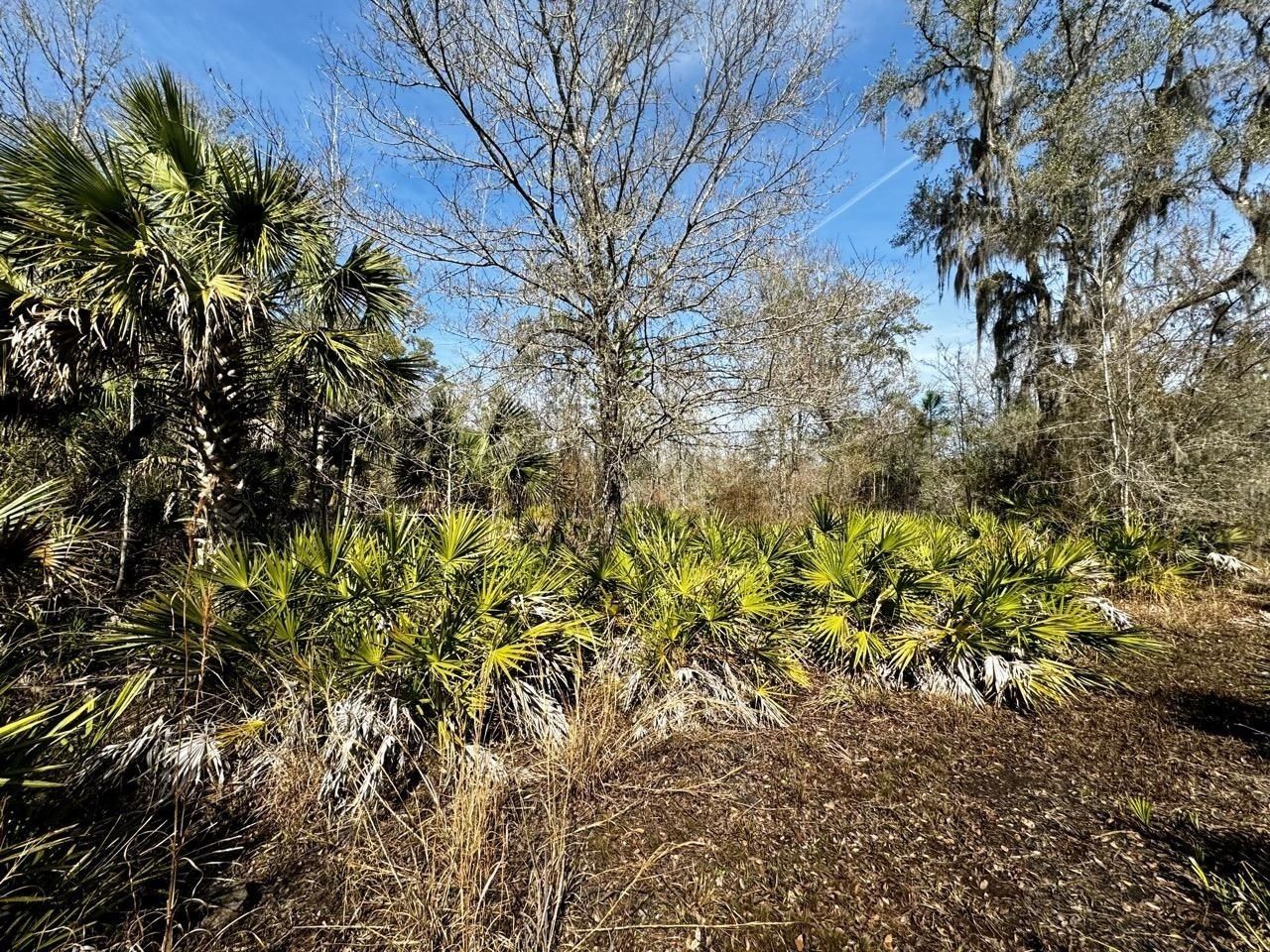 Vacant 1 62 Road, Lamont, FL 32336 Photo