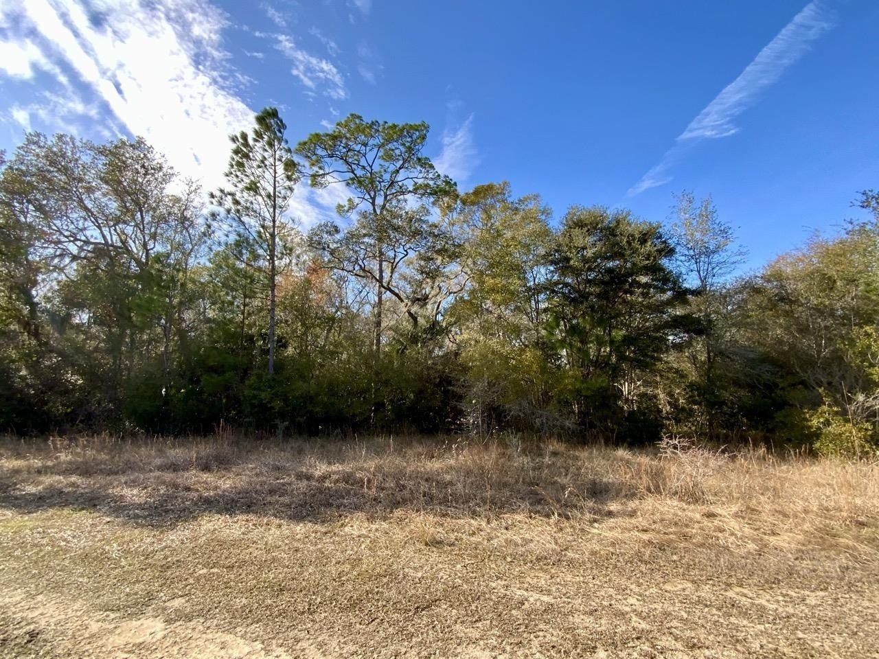 Vacant 1 62 Road, Lamont, FL 32336 Photo