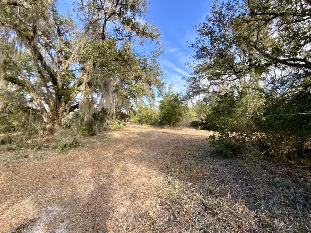 Vacant 1 62 Road, Lamont, FL 32336 Photo