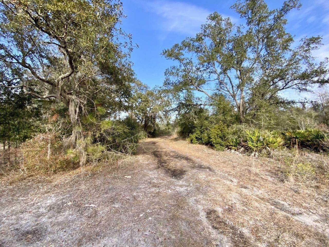 Vacant 1 62 Road, Lamont, FL 32336 Photo