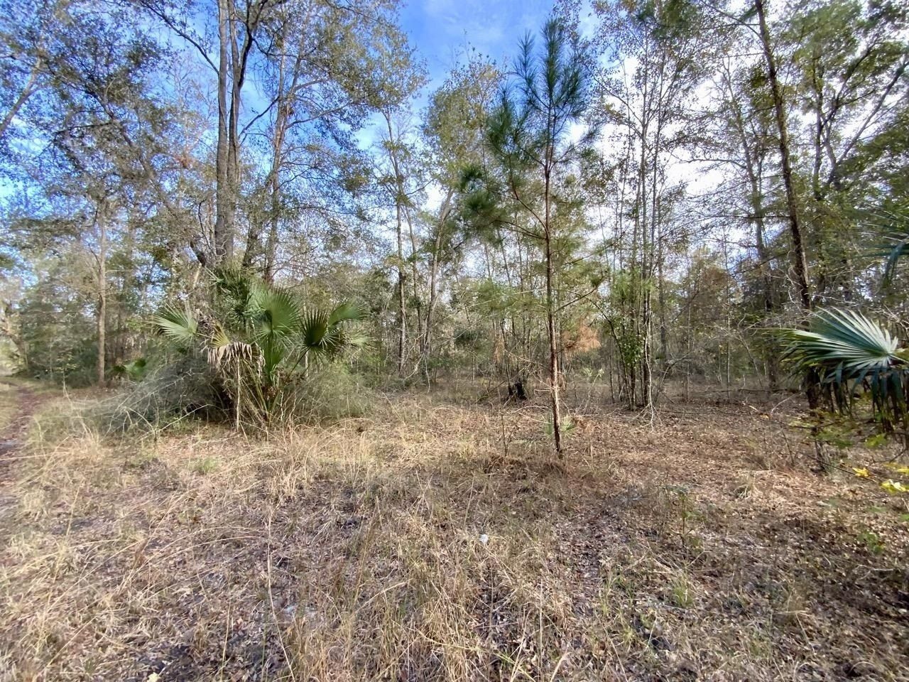 Vacant 1 62 Road, Lamont, FL 32336 Photo