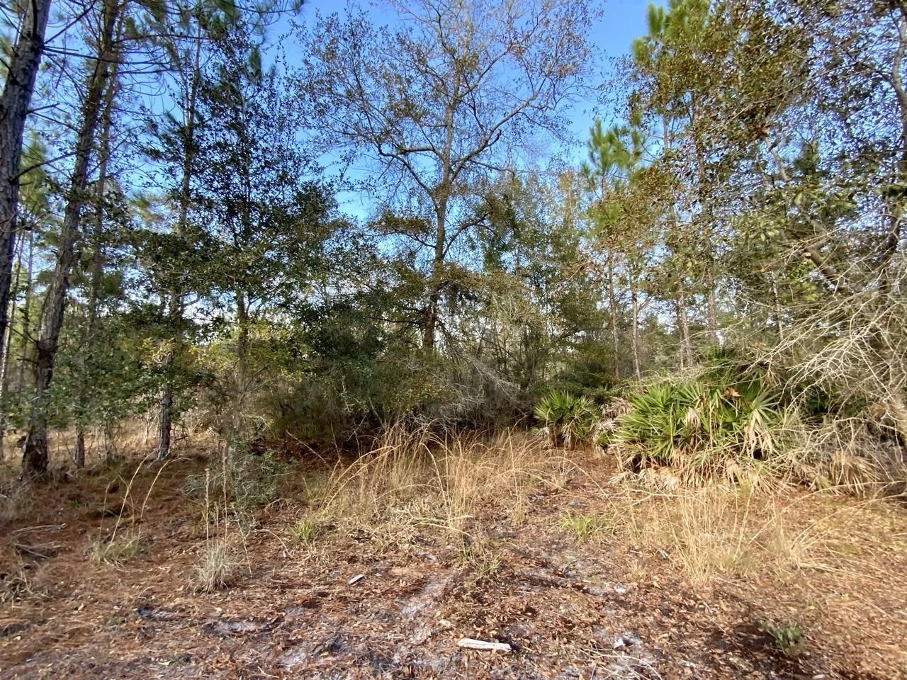 Vacant 1 62 Road, Lamont, FL 32336 Photo