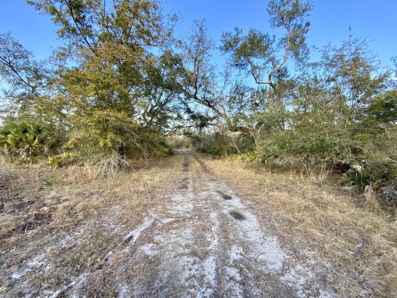 Vacant 1 62 Road, Lamont, FL 32336 Photo