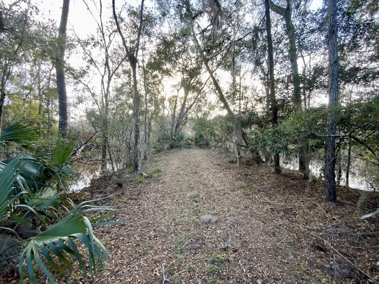 Vacant 1 62 Road, Lamont, FL 32336 Photo