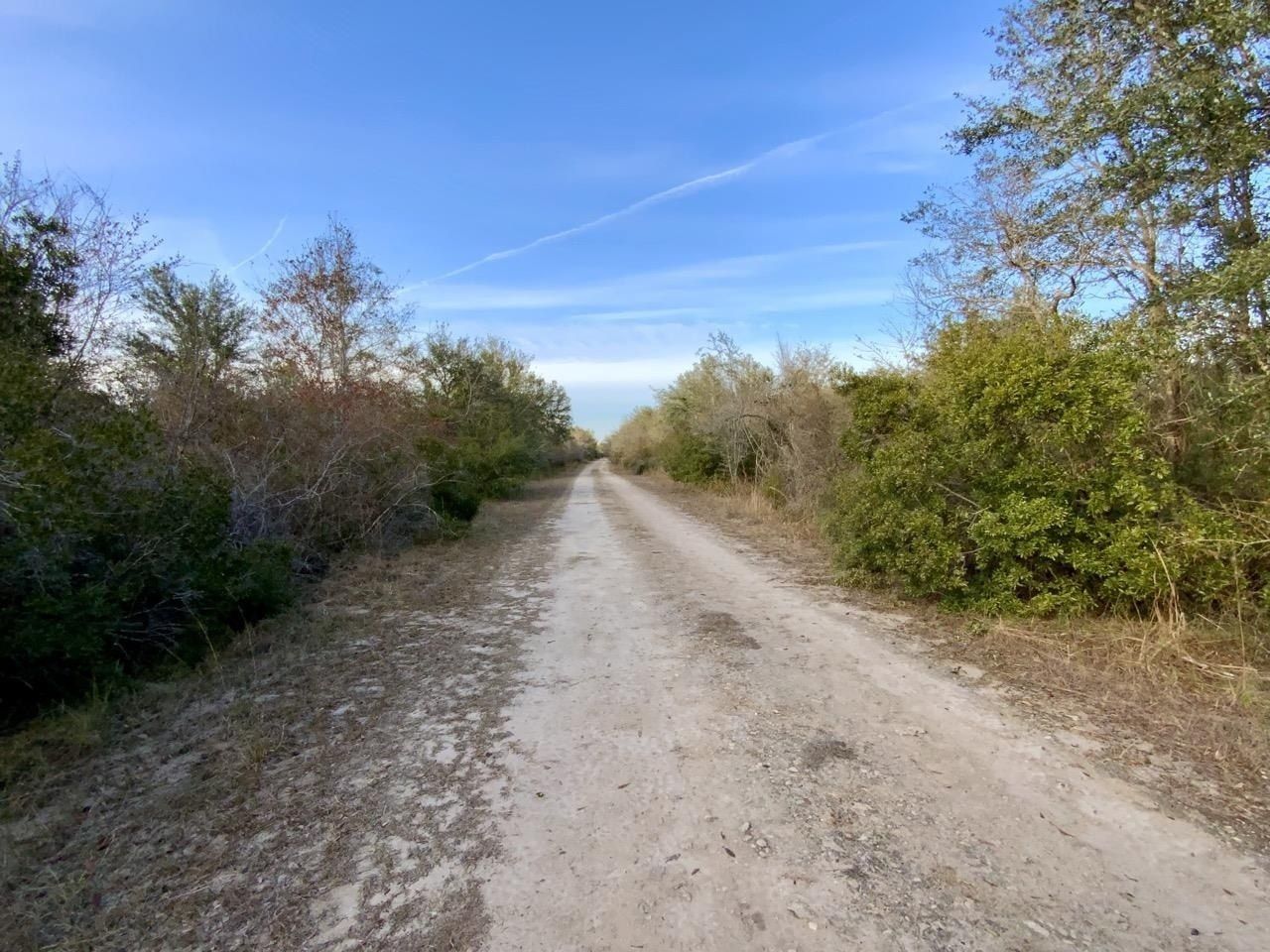 Vacant 1 62 Road, Lamont, FL 32336 Photo