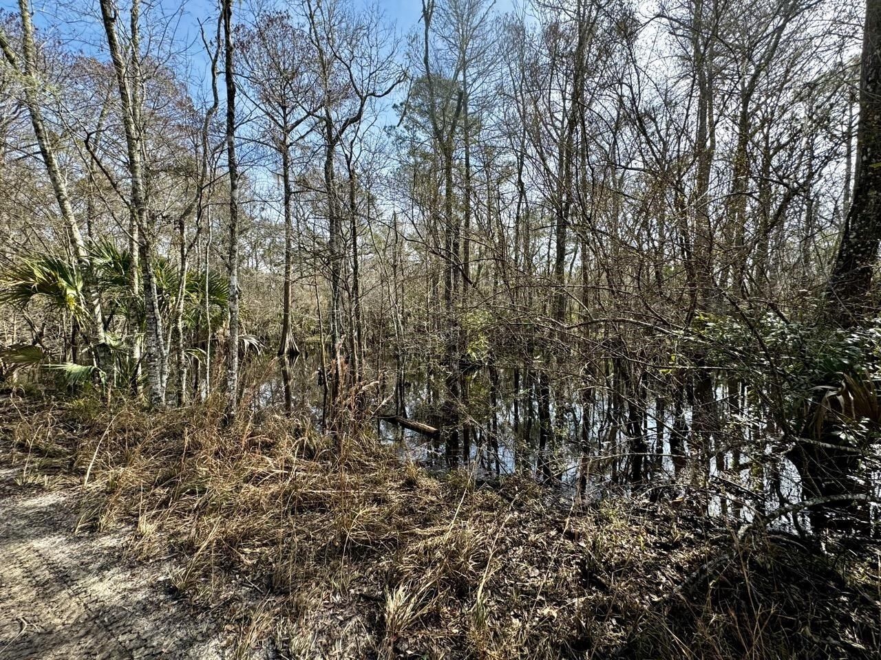 Vacant 1 62 Road, Lamont, FL 32336 Photo