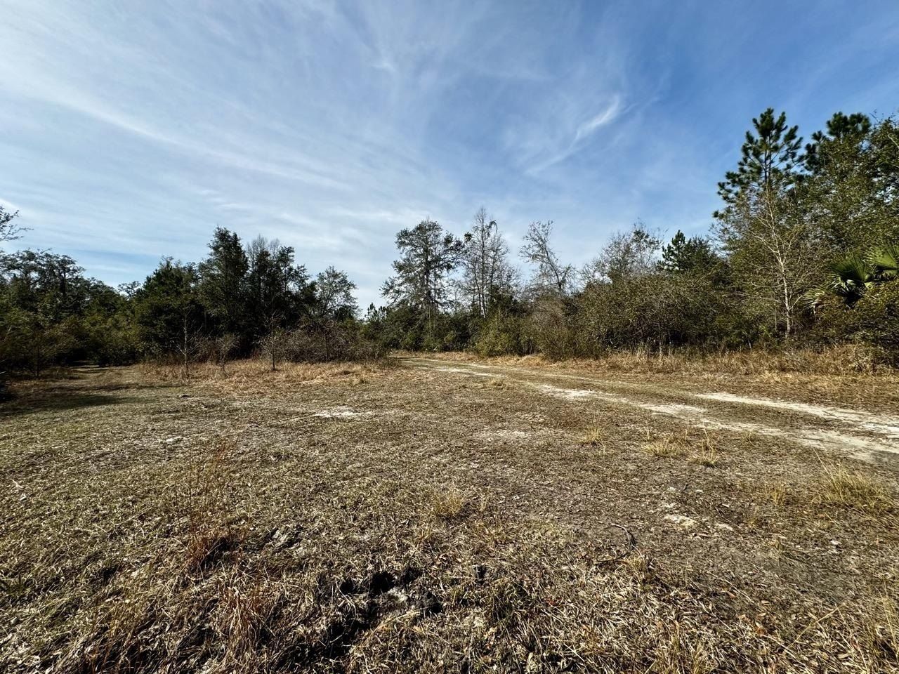 Vacant 1 62 Road, Lamont, FL 32336 Photo