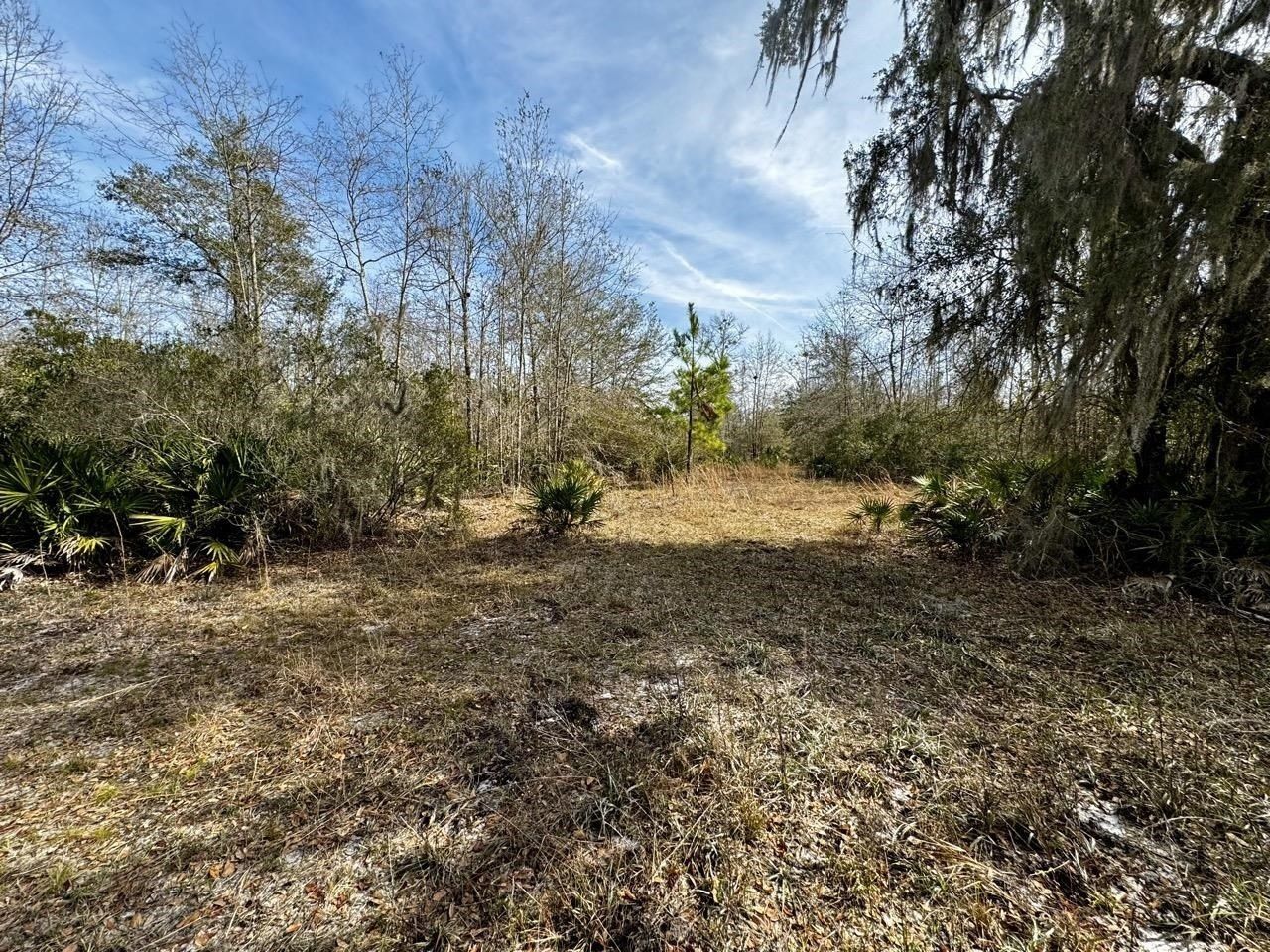 Vacant 1 62 Road, Lamont, FL 32336 Photo