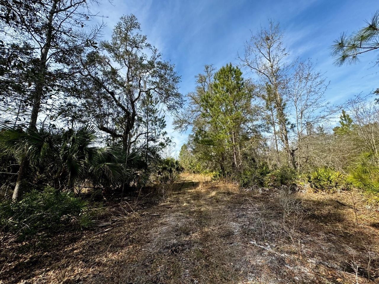 Vacant 1 62 Road, Lamont, FL 32336 Photo
