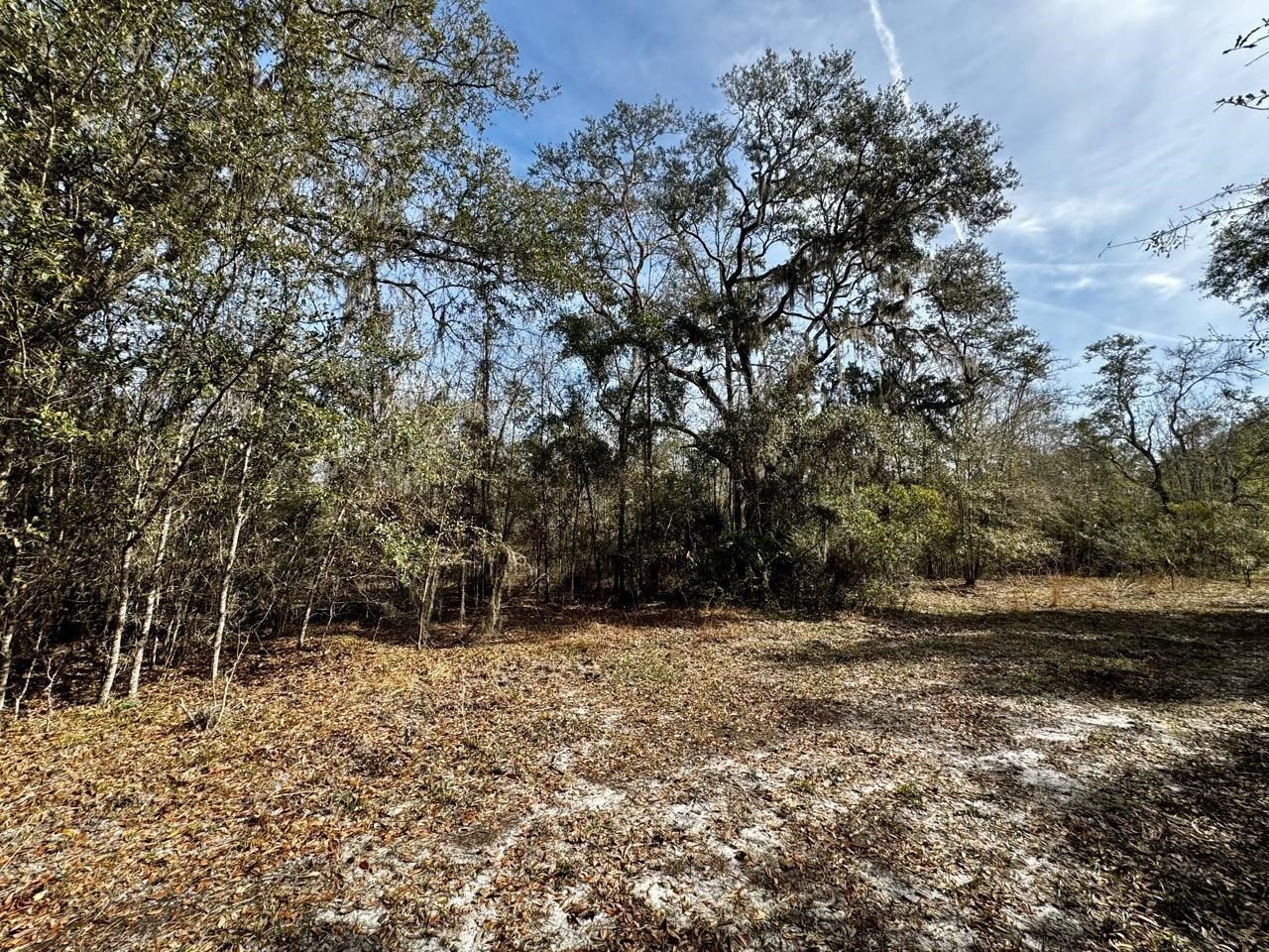 Vacant 1 62 Road, Lamont, FL 32336 Photo