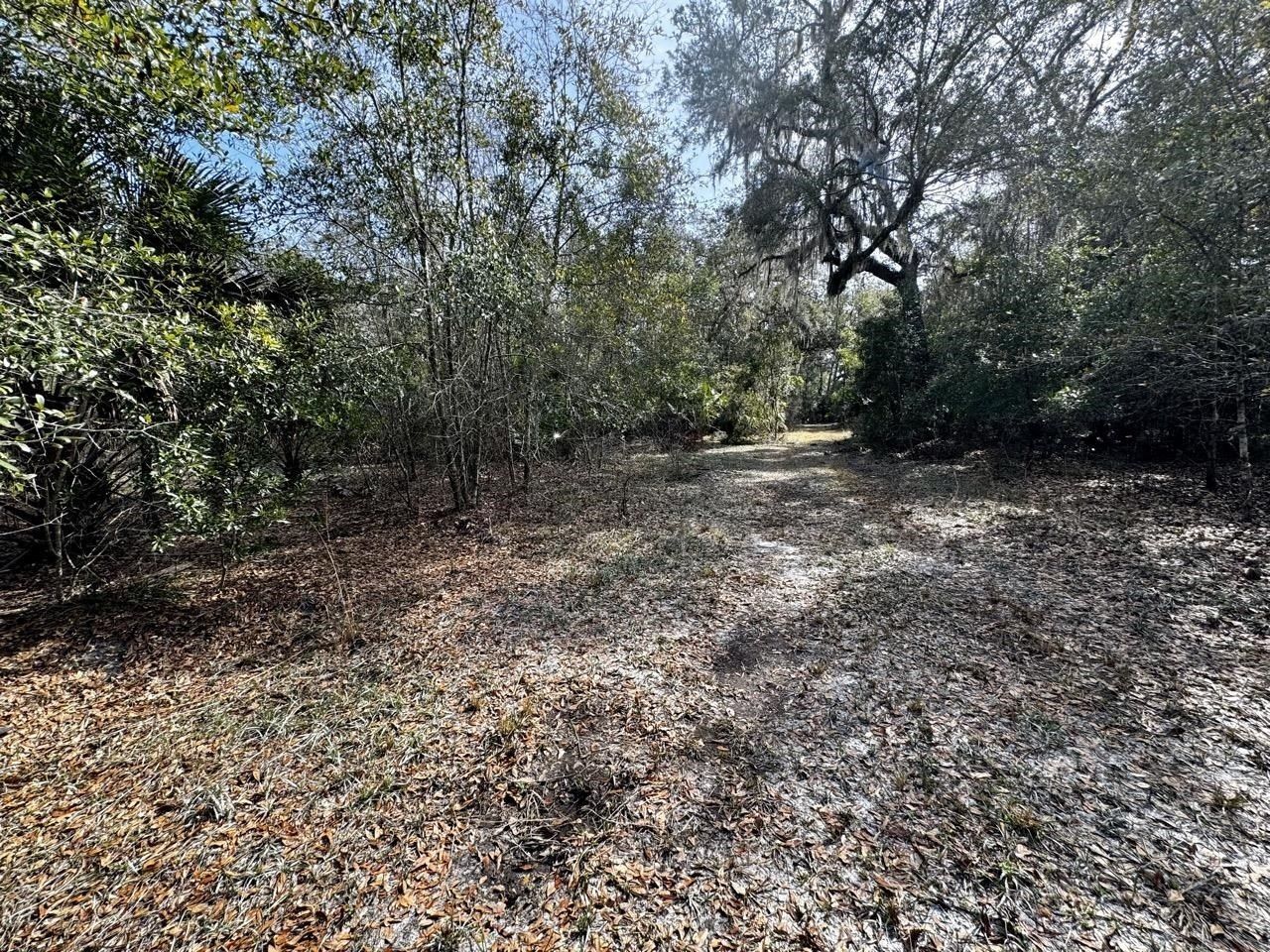 Vacant 1 62 Road, Lamont, FL 32336 Photo