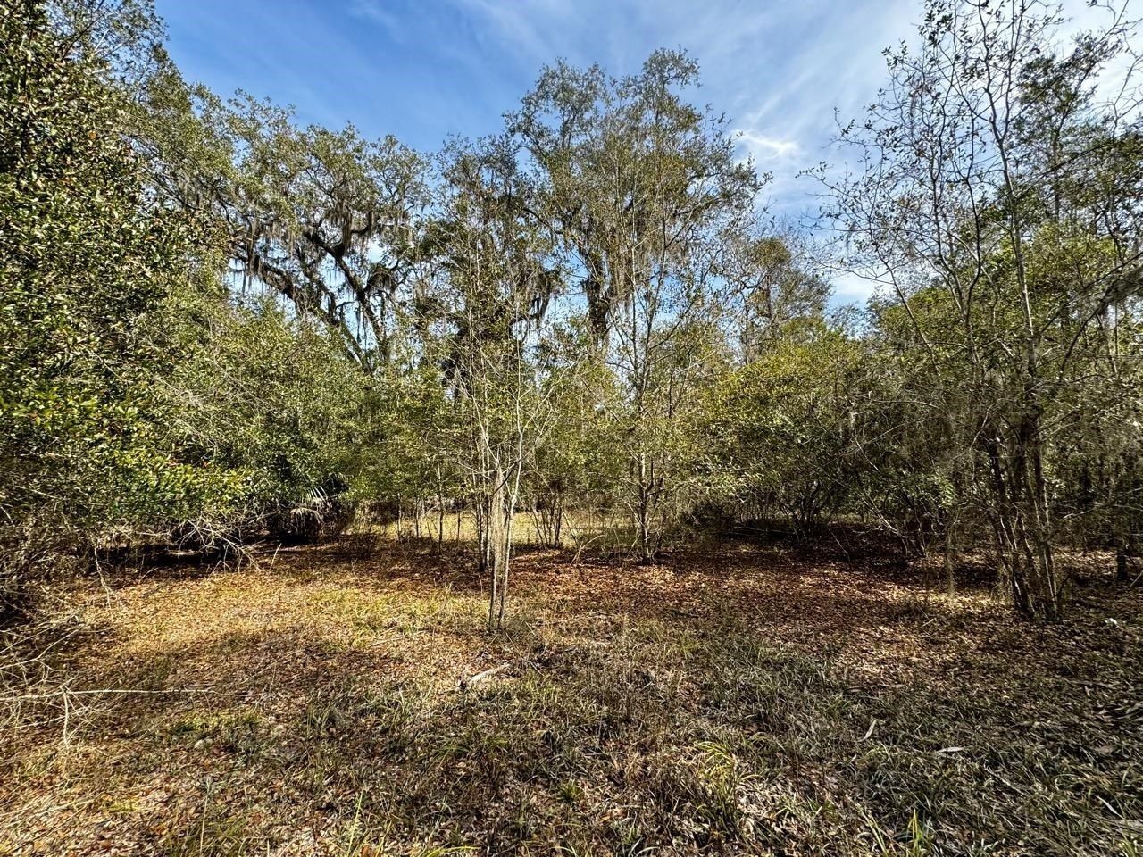 Vacant 1 62 Road, Lamont, FL 32336 Photo