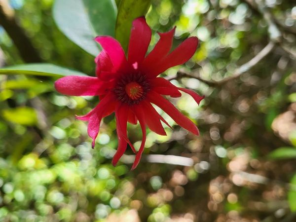 800 Florida Line Rd Road, Quincy, FL 32352