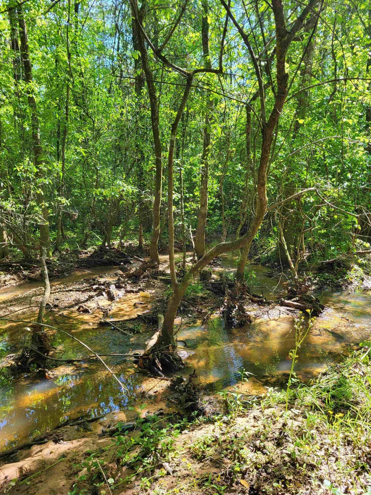 800 Florida Line Rd Road, Quincy, FL 32352 Photo