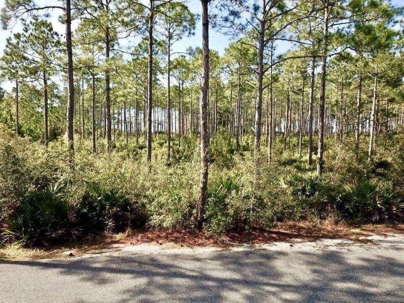 168 Lightning Bug Lane, Lot #Lot 368 - East, Saint Teresa, FL 32358 Photo