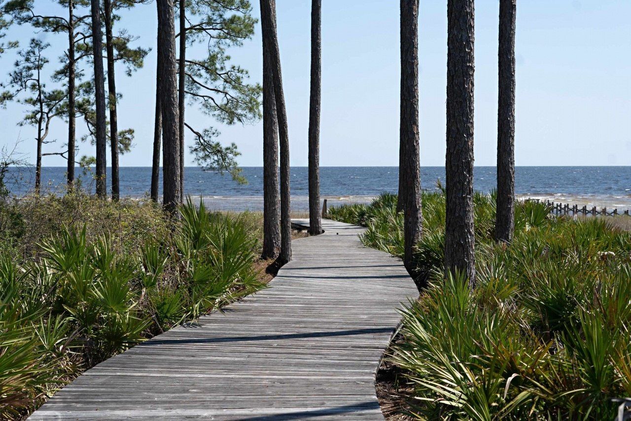 168 Lightning Bug Lane, Lot #Lot 368 - East, Saint Teresa, FL 32358 Photo