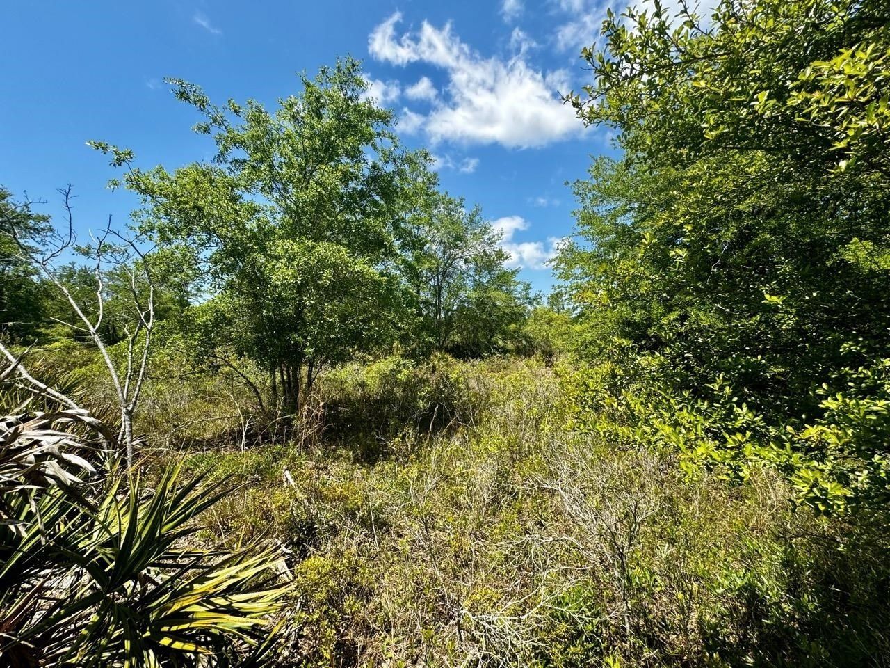 Vacant 62 Road, Lamont, FL 32336 Photo