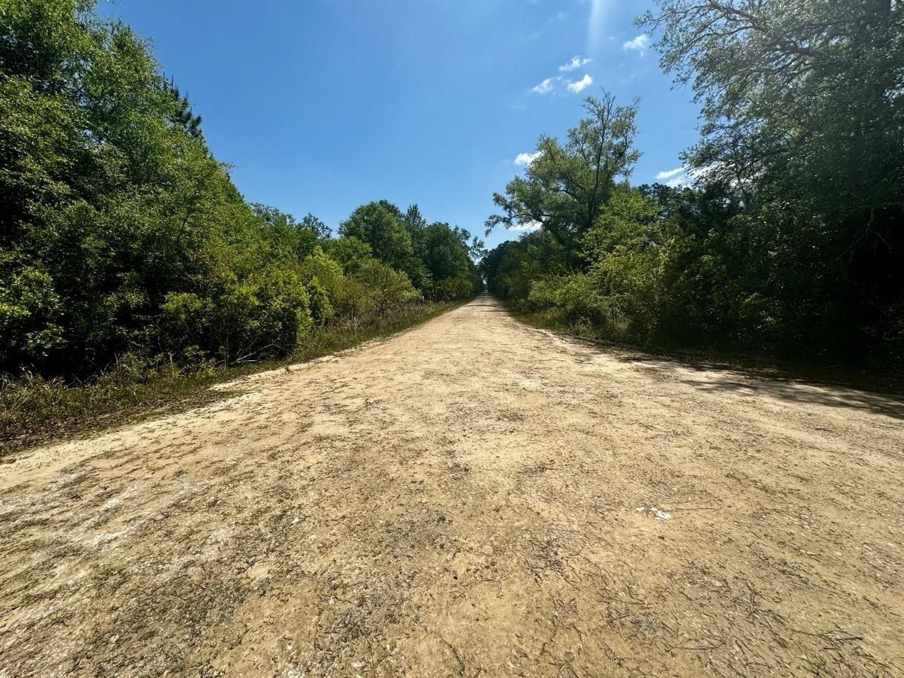 Vacant 62 Road, Lamont, FL 32336 Photo