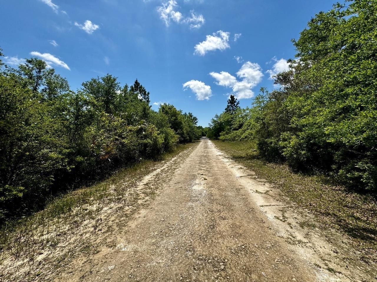 Vacant 62 Road, Lamont, FL 32336 Photo