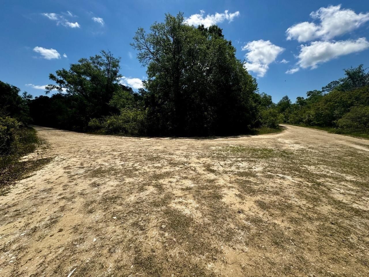 Vacant 62 Road, Lamont, FL 32336 Photo